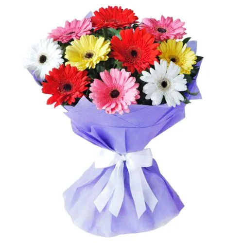 Mixed 10 Gerberas in Blue Wrapping Sheet
