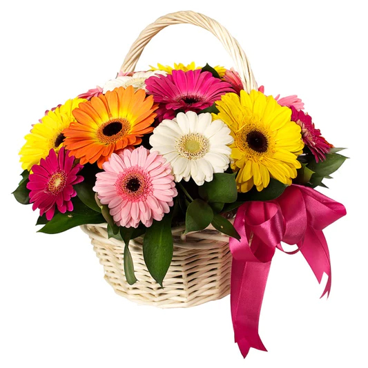15 Mixed Gerbera In Round Basket