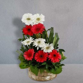 Pink and White Gerbera Basket arrangement