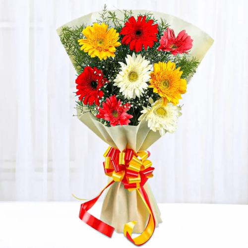 Bunch of 8 Multi color Gerberas
