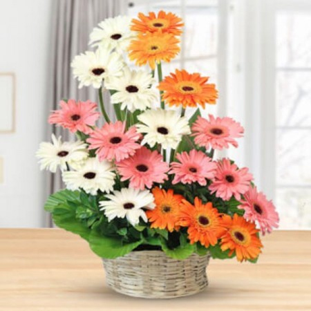 Basket arrangement of 20 Mixed Gerberas
