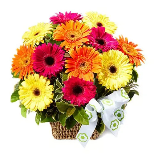20 Mixed Gerbera Basket Arrangement