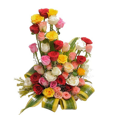 Beautiful Arrangement of 50 Multi color Roses