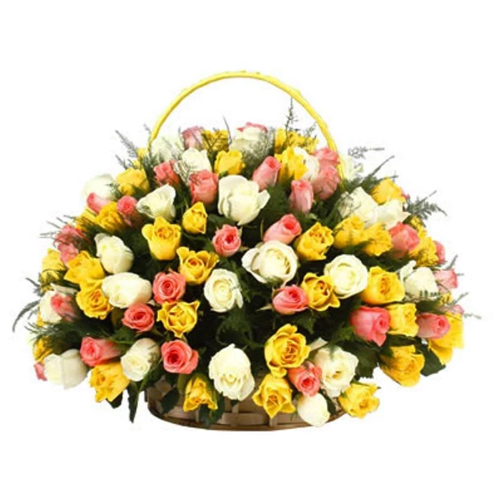 50 Roses Basket Arrangement(Mixed of Yellow,White & Pink Roses))